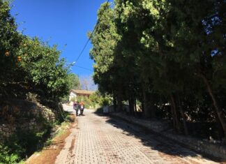 The Specter Bridegroom part 5