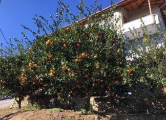 The Specter Bridegroom part 3