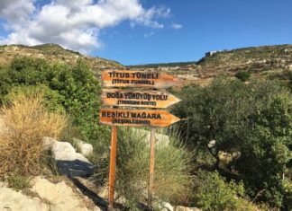 Miss Tempy` Watchers part 9