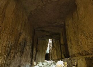 Miss Tempy` Watchers part 7