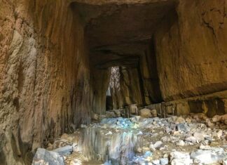 Miss Tempy` Watchers part 6