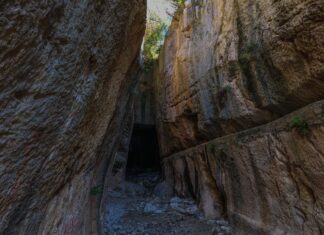 Miss Tempy` Watchers part 5