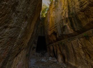 Miss Tempy` Watchers part 4