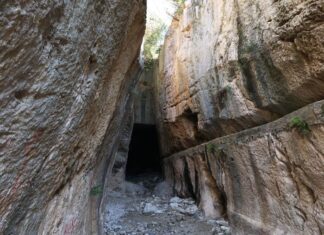 Miss Tempy` Watchers part 3