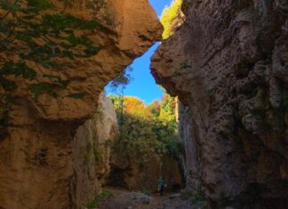 Miss Tempy` Watchers part 1