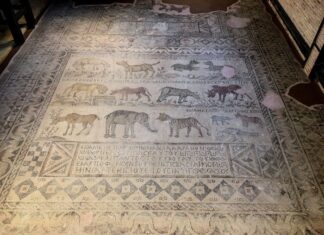 The Institutes 535 CE part 65