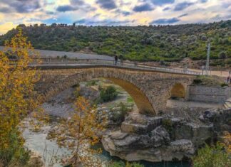 The Institutes 535 CE part 62