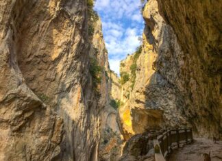 The Institutes 535 CE part 61