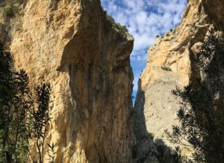 The Institutes 535 CE part 60