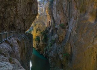 The Institutes 535 CE part 58