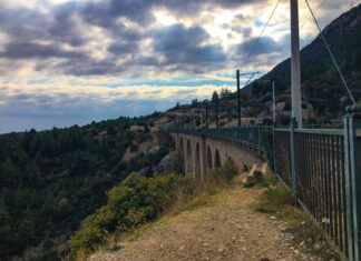 The Institutes 535 CE part 36