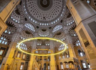 The Institutes 535 CE part 22