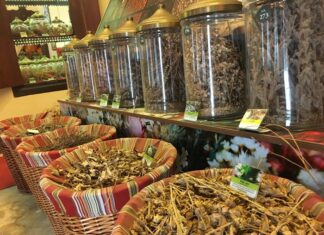 The Institutes 535 CE part 42