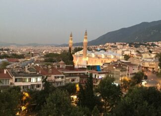 A Conversation with Nevzat Bayhan