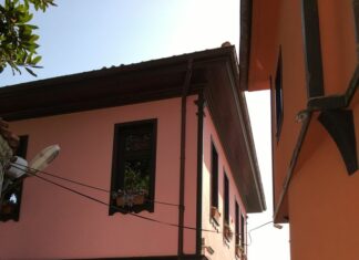 Cholera Status in Austria-Hungary