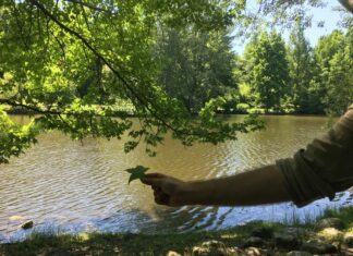 Transformations in Laleli’s Hotels A New Era