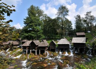 Houses in Harmony with Nature