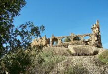 The Fund for Miss Stone’s Ransom