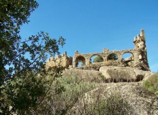 The Fund for Miss Stone’s Ransom