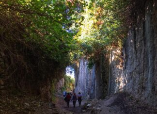 Photo safari Aladag Mountains