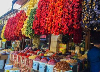 The Dreary Landscape