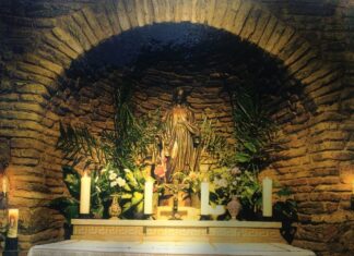 The Bulgarians Character Education and Progress