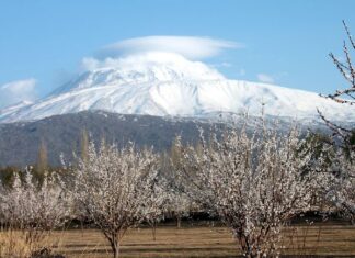 The Bulgarians and Their Land
